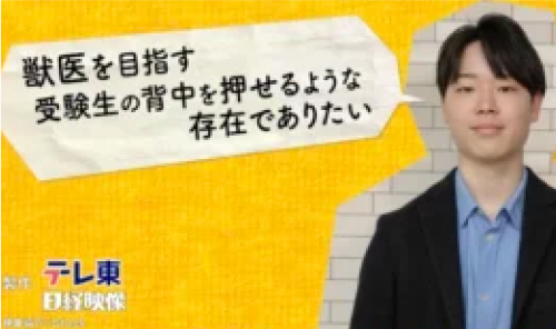 メディア掲載実績