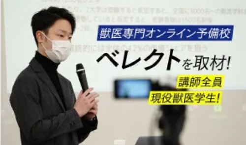 メディア掲載実績
