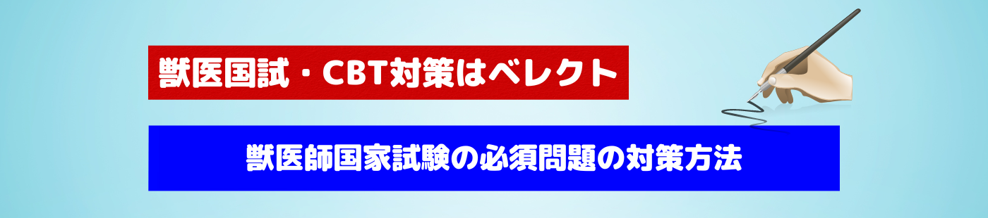 76回分析あり】合格者が教える獣医師国家試験の必須問題の対策方法 