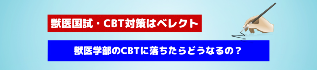 獣医師国家試験の過去問のダウンロード方法 - ベレクトNEXT