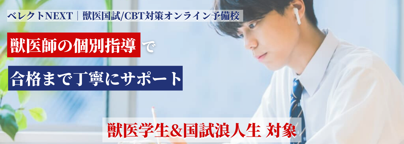 べレクトNEXT べレクトNEXT