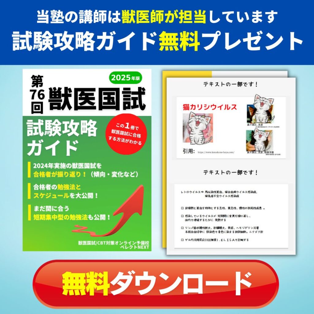 獣医師・とね先生】に聞いた獣医国試の勉強方法やコツ、試験当日に意識 
