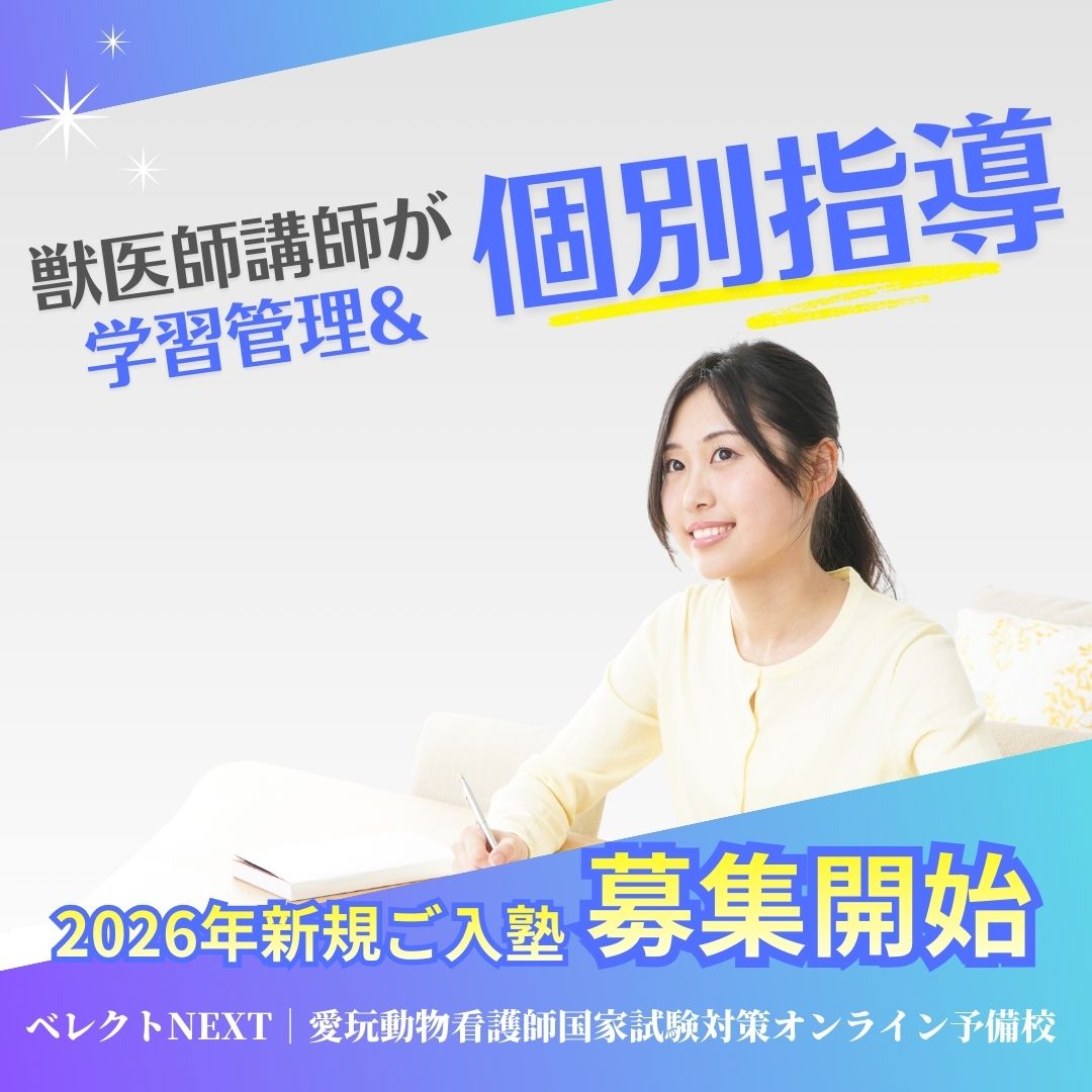 愛玩_べレクトNEXT