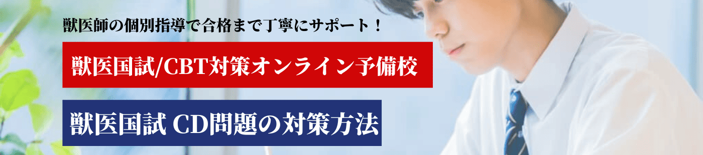 76回分析あり】合格者が教える獣医国試・CD問題の対策と傾向を解説 