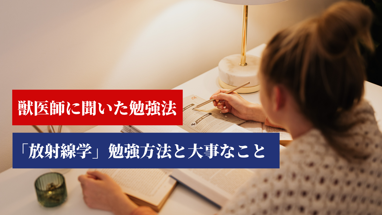 放射線学 勉強方法