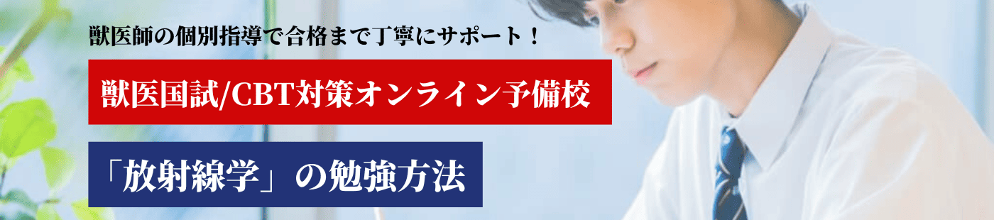 放射線学の勉強法