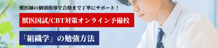 組織学の勉強法