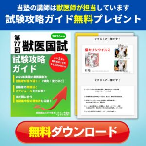 試験攻略ガイド