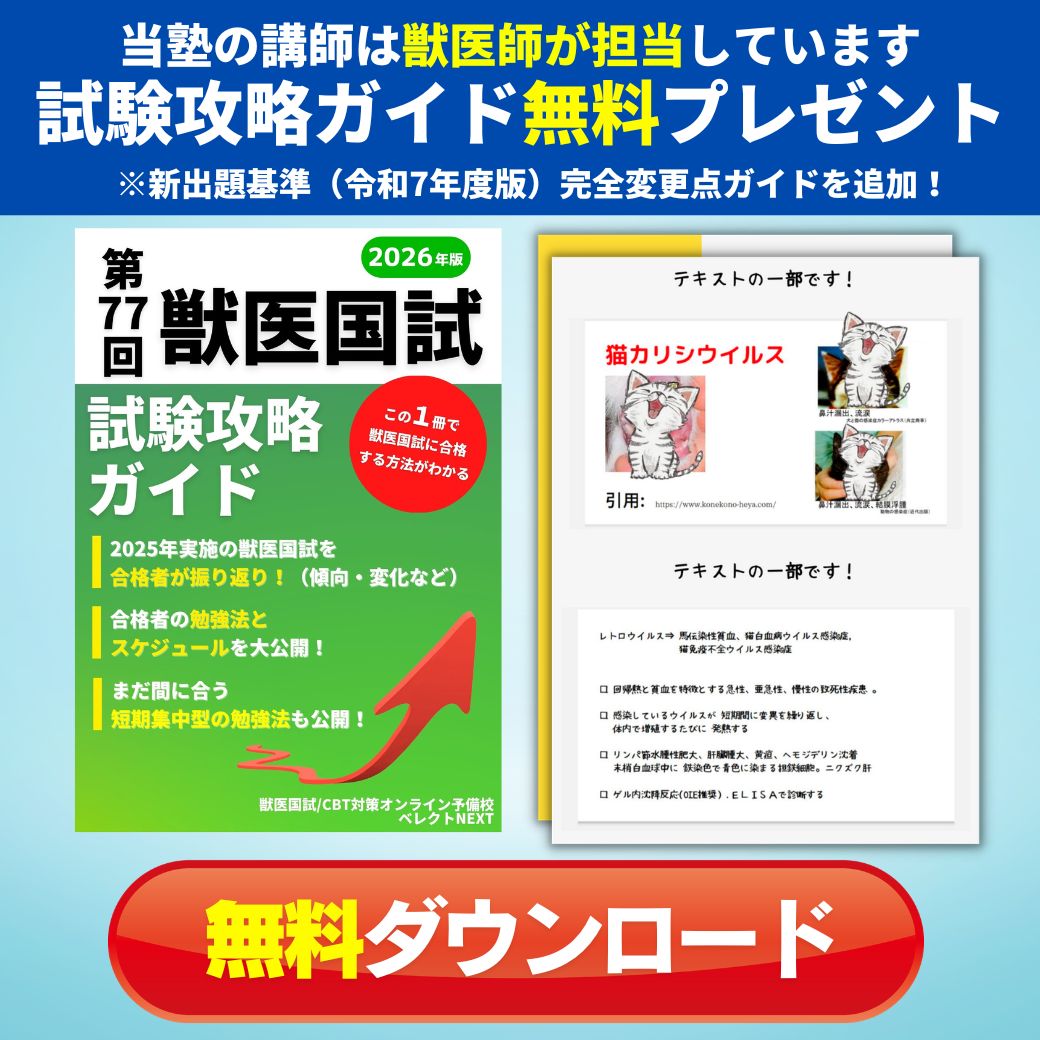 試験攻略ガイド_260323 試験攻略ガイド_260323