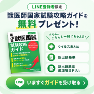 獣医国試攻略ガイド_ベレクトNEXT