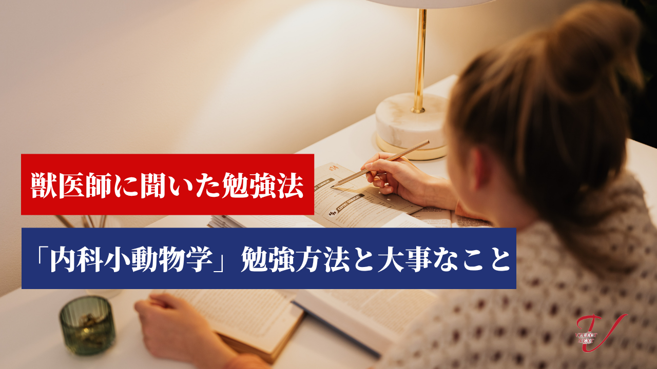 内科小動物学 勉強方法