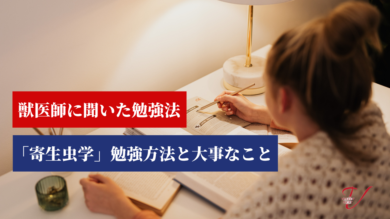 寄生虫学 勉強方法