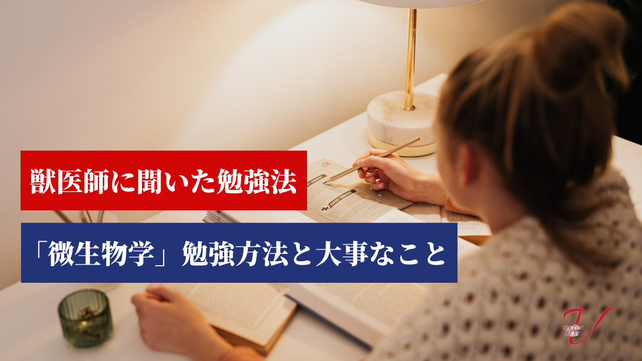 獣医師先生に聞いた国試「微生物学」の勉強方法と大事なこと4選
