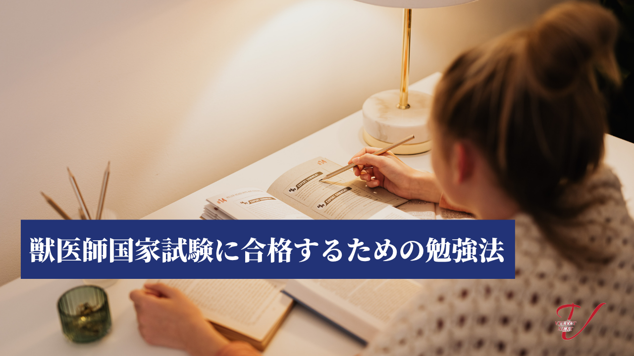 獣医師国家試験に合格するための勉強法