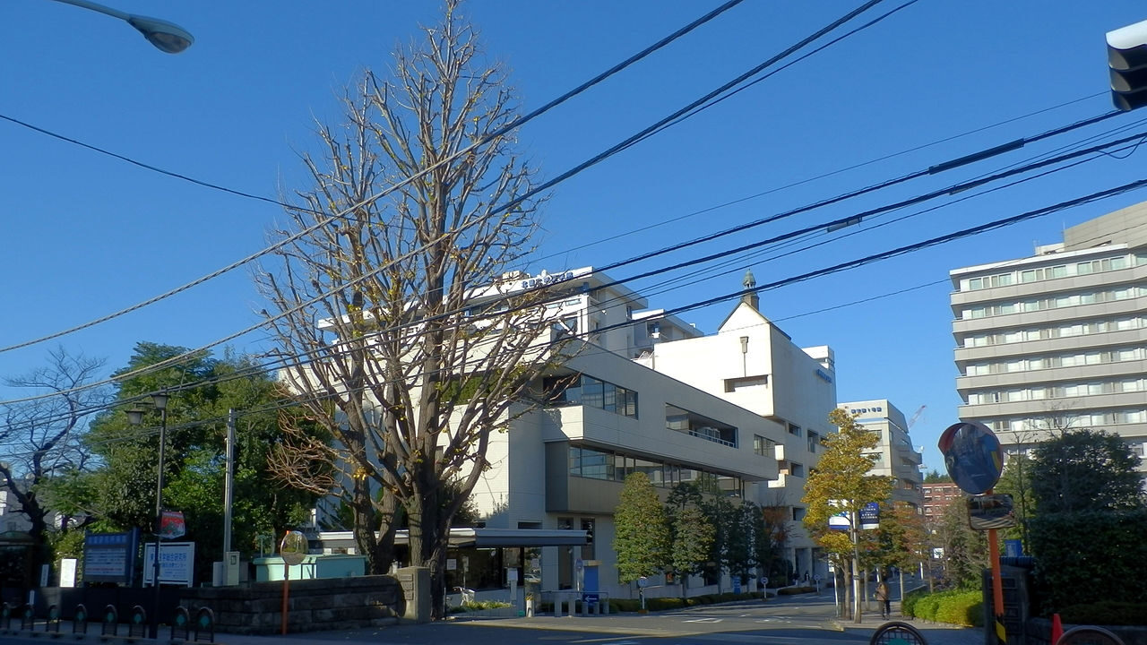 【現役獣医学生に聞いた】北里大学獣医学部獣医学科の良い点・選んだ理由・おすすめポイント - 獣医専門オンライン予備校ベレクト