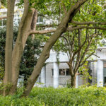 入学希望者必見 山口大学共同獣医学部の特徴と入試内容とは べレクト 獣医学科専門のオンライン予備校