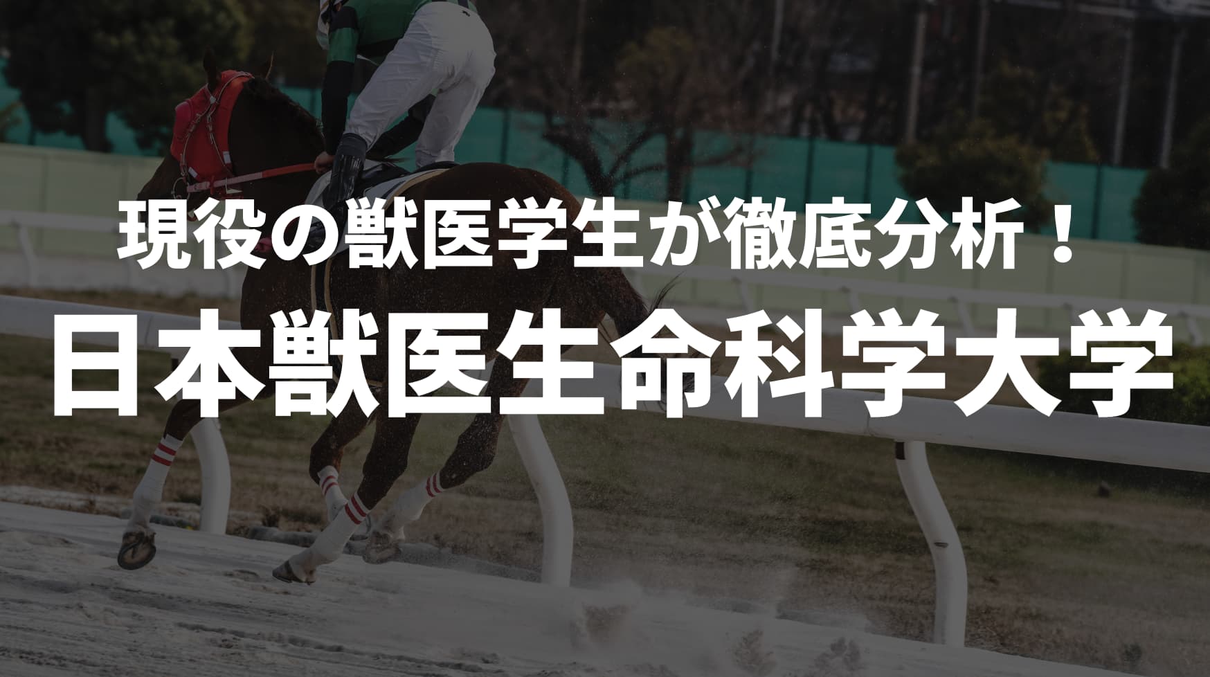 日本獣医生命科学大学獣医学部の勉強法は？過去問&合格点を徹底