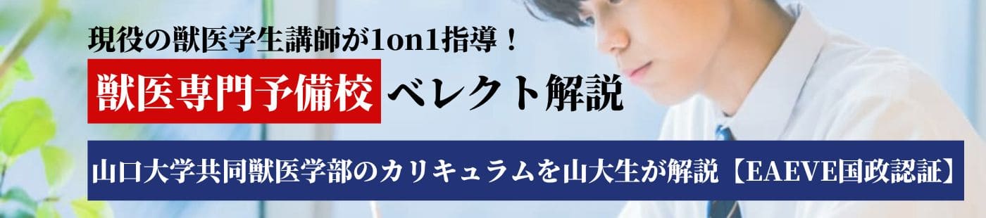 山大　獣医　カリキュラム　解説