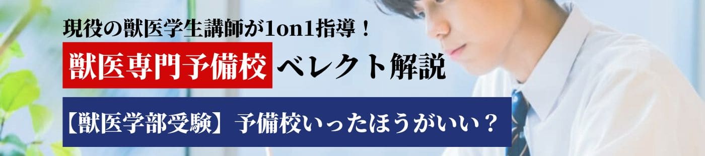 【獣医学部受験】予備校いったほうがいい？