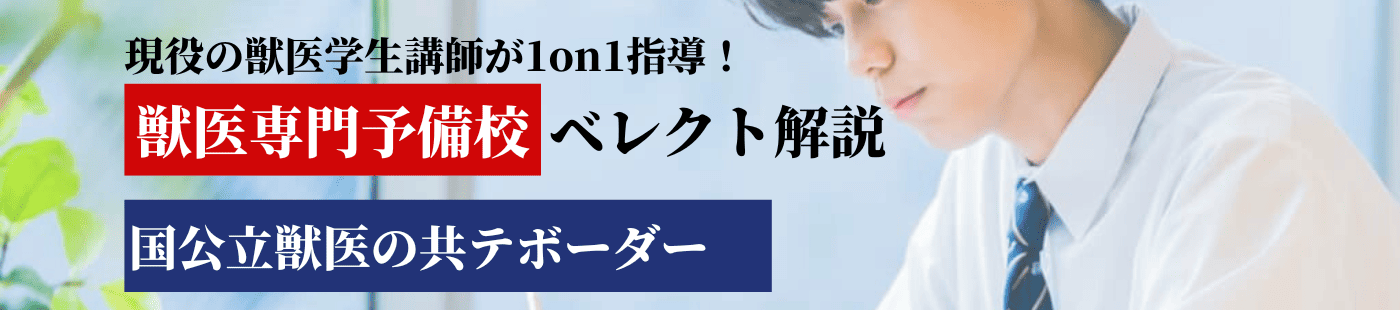 2025年国立獣医の共通テストのボーダー