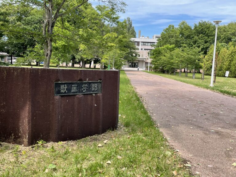 北海道大学獣医学部